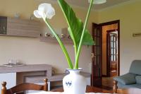 Apartamento A Pampillosa - Ferienwohnung Fazouro