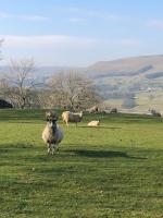 B&B Hawes - Quarry Cottage near Hawes, Yorkshire Dales, Pet free - Bed and Breakfast Hawes