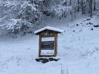 Apartment with Garden View