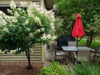 Excellent Townhome On Golf Course w/3 Bdrm 2 Bath - B&B Mont-Tremblant