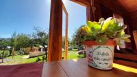 Quadruple Room with Garden View