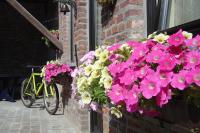 Holiday home Gîte rural Côté Fagnes - B&B Jalhay