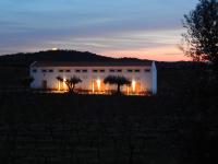 Quinta das Ratoeiras - B&B