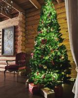 Neptūno Vila - Bed and Breakfast Palanga