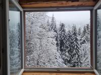 Studio Potocic - B&B