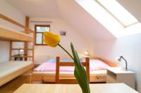 Camera Quadrupla con Bagno Privato 