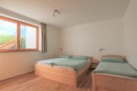 Appartamento con 1 Camera da Letto e Terrazza