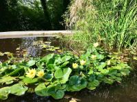 L'annexe du domaine de brisset - Ferienwohnung Montélimar