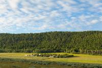 Red Rock RV Park - Chambres d’hôtes Island Park