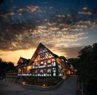 Rebstock Waldulm - B&B Kappelrodeck