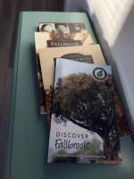 Aviation Landing - B&B Fallbrook