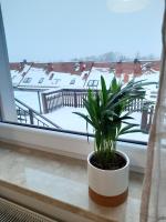 Na Wzgórzu - B&B Wieliczka