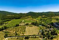Podere Campriano Winery Adult only - B&B Greve In Chianti