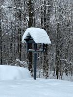 Villa de 1 dormitorio