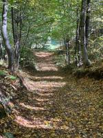 Siedlisko Wyżne - B&B Wyżne