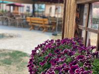 Laupus-Hof - B&B