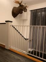 Säfsen Stay - Ferienwohnung