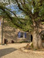 Chambre d'hôtes Lavande- A l'Ombre des Tilleuls - B&B Lagorce