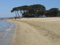 La Londe les pieds dans l'eau - B&B