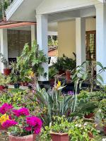Green Castle - Bed and Breakfast Gonikoppal