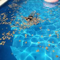 Casa Quinta - B&B Colonia Caroya