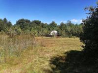 El Mallín Domo - Tinaja con costo adicional - B&B Dalcahue