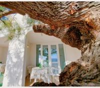 SEA FRONT, Gioia, Santa Maria al Bagno - Ferienwohnung
