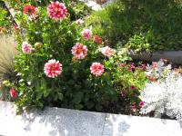 Diamond house deluxe 4 Koblenz - Ferienwohnung Koblenz