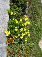 Diamond house deluxe 4 Koblenz - Ferienwohnung Koblenz