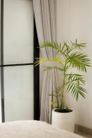 Narasea Apartment By Hospitality Bali - B&B Canggu