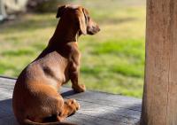 Art Shack @ Wilgabah - B&B Wallabadah