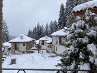 Pamporovo Cottage Savov - Chambres d’hôtes