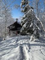 Mountain Family Chalet on Prahova Valley - B&B Comarnic