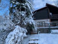 Mountain Family Chalet on Prahova Valley - B&B Comarnic