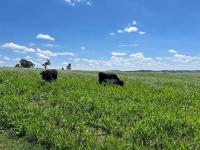 Cottage con 2 Camere da Letto