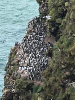 ARDUTHIE STREET - Ferienwohnung Stonehaven