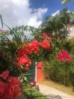 Bel appartement dans écrin de verdure - B&B Le Lamentin