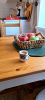 A2Kopaonik newly built apartments - B&B