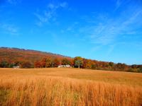 B&B Chattanooga - Fryars' Green at Tennessee RiverPlace - Bed and Breakfast Chattanooga