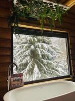 Casa Bucuriei - Plaiul Foii, Zărnești - B&B Zărneşti