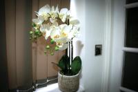 Rostron House - B&B