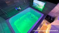 Apartment mit 1 Schlafzimmer und Whirlpool