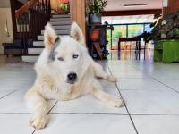 Vierbettzimmer mit Gartenblick