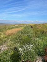 Casa con 1 dormitorio