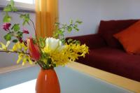 Appartamento con Balcone