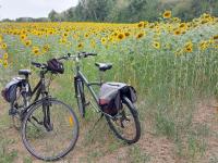 Le Moulin du Chemin - B&B Scillé
