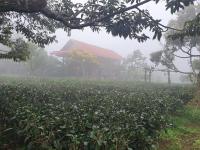 Queen Room with Garden View