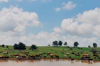 Ananda hosting in the magical Golan Heights - B&B Ein Zivan