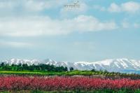 Ananda hosting in the magical Golan Heights - B&B Ein Zivan