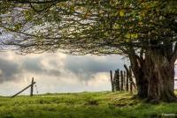 A Vellereux houffalize - B&B Houffalize